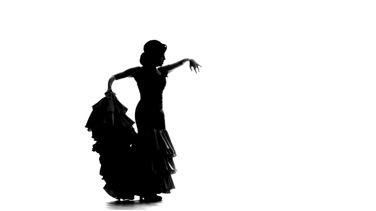 Silueta de una bailaora de flamenco bailando